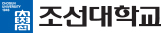 조선대학교