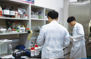 심화교육 실습
